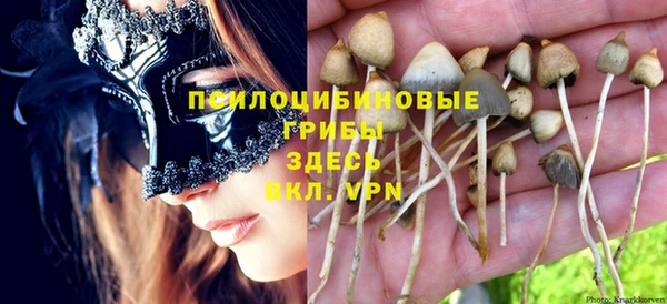 МДПВ Аркадак