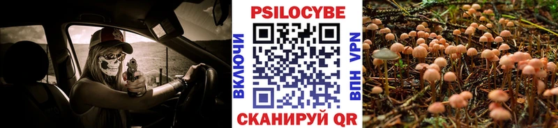 Галлюциногенные грибы мицелий  Олонец 